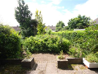 Picture 22